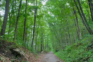 90 Bryant Ave, White Plains, NY 10605 - Photo 30