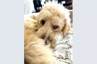 90 Bryant Avenue #Croydon-2.C, White Plains, NY 10605 - Photo 32