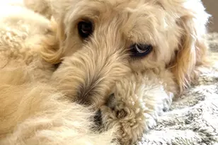 90 Bryant Ave, White Plains, NY 10605 - Photo 32