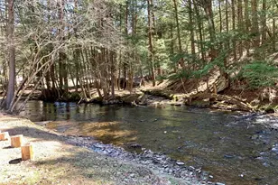 604 Basket Rd, Long Eddy, NY 12760 - Photo 4