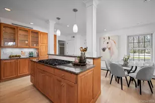 981 Green Meadow Ln, Mamaroneck, NY 10543 - Photo 8