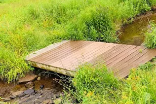 3 Burr Rd, Cochecton Center, NY 12726 - Photo 12