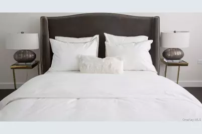 1 Third #825, Mineola, NY 11501 - Photo 12