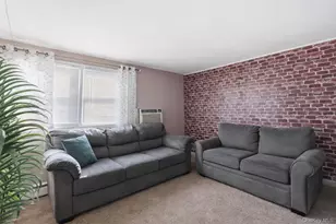 101 Spruce Ave, Bethpage, NY 11714 - Photo 20