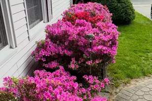 8 Royalston Ln, South Setauket, NY 11720 - Photo 4