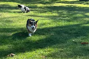 96 Brooksite Dr, Smithtown, NY 11787 - Photo 22