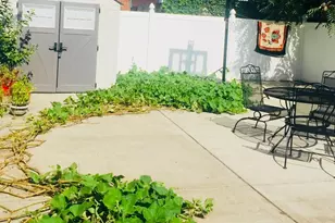 131-07 107th Ave, Richmond Hill, NY 11419 - Photo 28