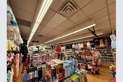 1137 Liberty Avenue, Brooklyn, NY 11208 - Photo 6