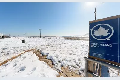 30 Tudor Ter, Brooklyn, NY 11224 - Photo 10