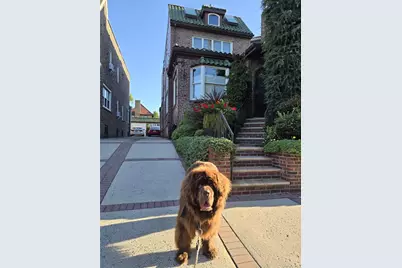 137 82nd Street, Brooklyn, NY 11209 - Photo 1