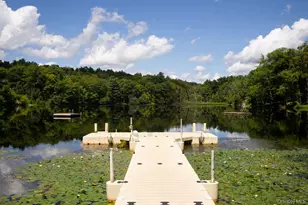 42 Lake Pleasant Dr, Staatsburg, NY 12580 - Photo 28