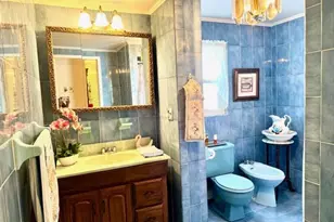 344 Rose St, Massapequa Park, NY 11762 - Photo 10