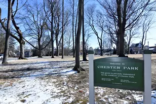 11 Walnut Ave, Pelham, NY 10803 - Photo 12