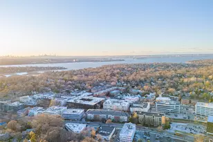 171 Great Neck Rd, Great Neck, NY 11021 - Photo 4