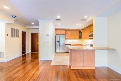 171 Great Neck Road #1F, Great Neck, NY 11021 - Photo 10