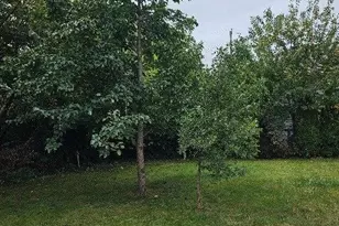 806 Oliver Ave, Westbury, NY 11590 - Photo 20