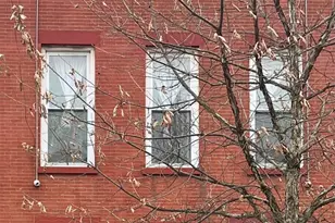 584 Sterling Pl, Brooklyn, NY 11238 - Photo 1