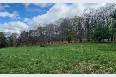 188 Nine Partners Lane, Millbrook, NY 12545 - Photo 36
