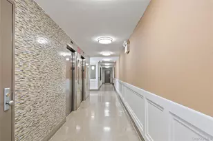 971 Jerome St, Brooklyn, NY 11207 - Photo 28