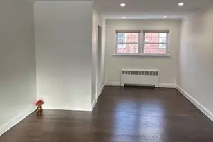 106 Bregman Ave, New Hyde Park, NY 11040 - Photo 4