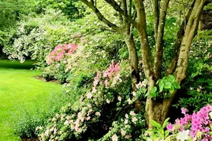 70 S Country Rd, Bellport, NY 11713 - Photo 34