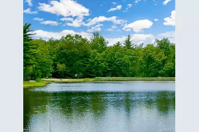 50 Meghan Court, Pine Bush, NY 12566 - Photo 4