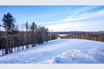 6 Rock View Lane, Loch Sheldrake, NY 12759 - Photo 24