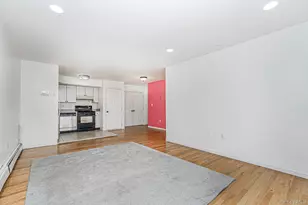 1838 W 13th St, Brooklyn, NY 11223 - Photo 10