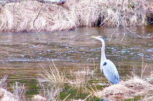 26 Valley Rd, Forestburgh, NY 12777 - Photo 6