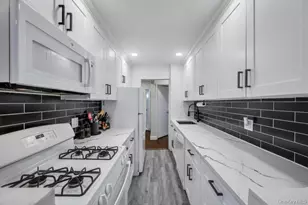 2 Birchwood Ct, Mineola, NY 11501 - Photo 14