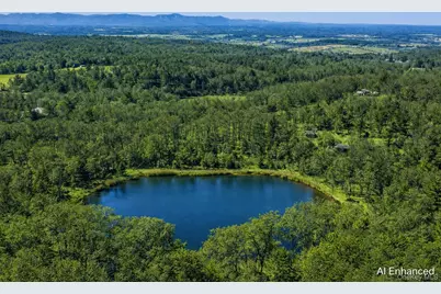 119 Fern Hill Road, Ghent, NY 12075 - Photo 36