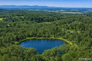 119 Fern Hill Rd, Ghent, NY 12075 - Photo 36