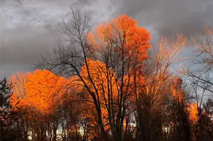 14 Harrigan Rd, Hopewell Junction, NY 12533 - Photo 40