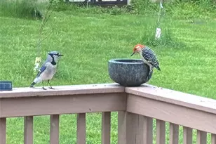 14 Harrigan Rd, Hopewell Junction, NY 12533 - Photo 38