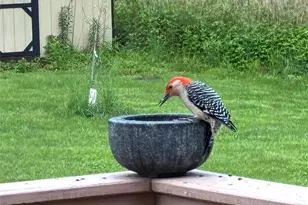 14 Harrigan Rd, Hopewell Junction, NY 12533 - Photo 36