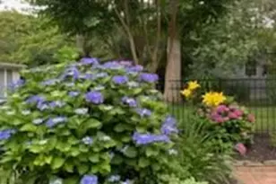 41 Red Cedar Point, Hampton Bays, NY 11946 - Photo 16