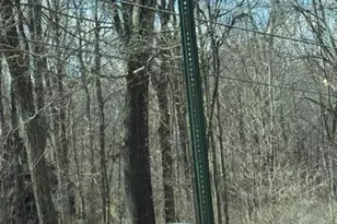 11 Alexandra Matthews Rd, Wallkill, NY 12589 - Photo 4