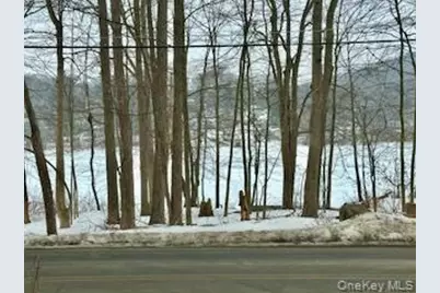 66 Lake Shore Drive, Patterson, NY 12563 - Photo 4