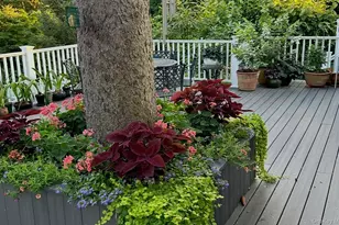 92 Valentine Ave, Glen Cove, NY 11542 - Photo 44