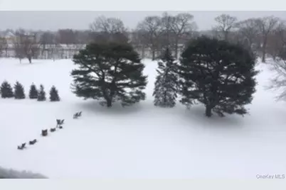 4784 Boston Post Road #B45, Pelham, NY 10803 - Photo 28