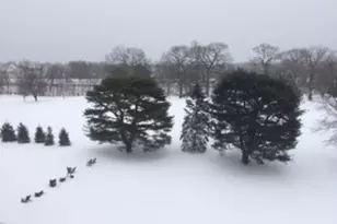 4784 Boston Post Rd, Pelham, NY 10803 - Photo 28