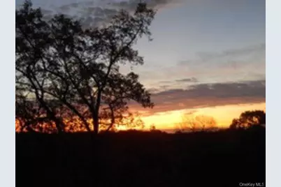 4784 Boston Post Road #B45, Pelham, NY 10803 - Photo 26