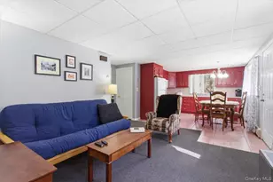 183 Bullet Hole Rd, Mahopac, NY 10541 - Photo 38