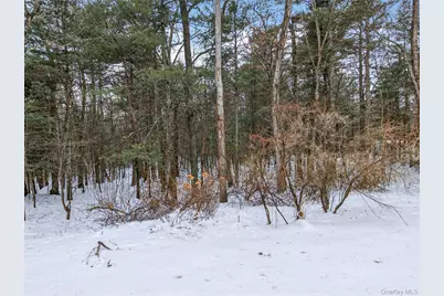 157 Old Forestburg Road, Sparrow Bush, NY 12780 - Photo 38