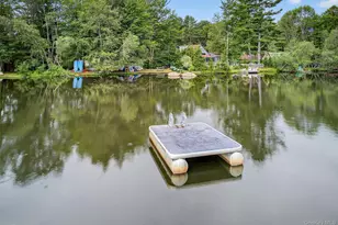 7 Indian Lake Rd, Ferndale, NY 12734 - Photo 8