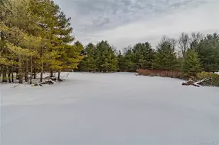 58 Dunn Town Rd, Wurtsboro, NY 12790 - Photo 38