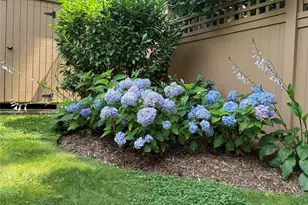 144 Gaylor Rd, Scarsdale, NY 10583 - Photo 36