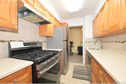 4 Birchwood Court #3J, Mineola, NY 11501 - Photo 8