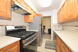 4 Birchwood Ct, Mineola, NY 11501 - Photo 8