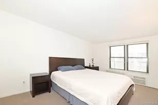 4 Birchwood Ct, Mineola, NY 11501 - Photo 10